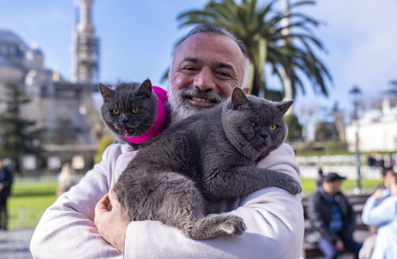 Kedi0
