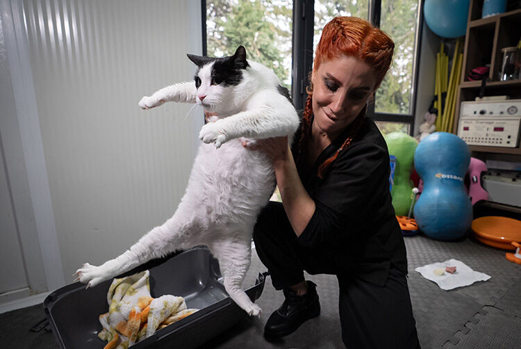 Kedi1-2