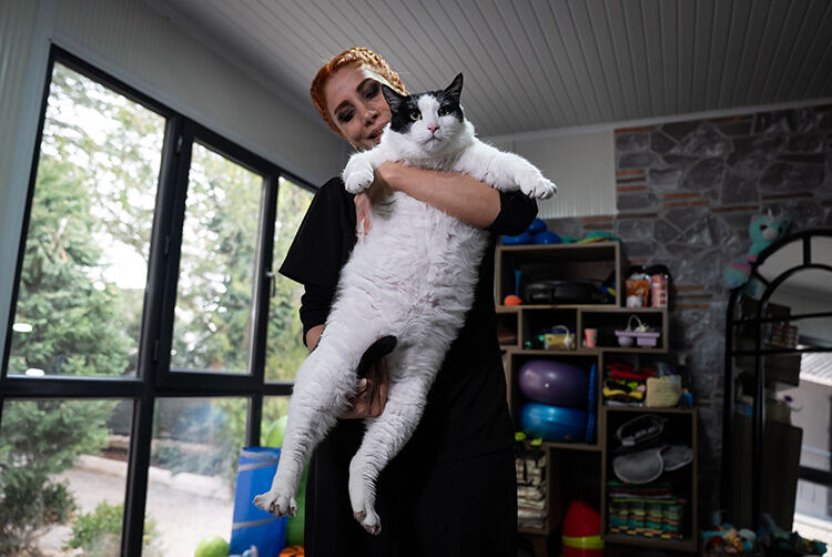 Kedi11-1