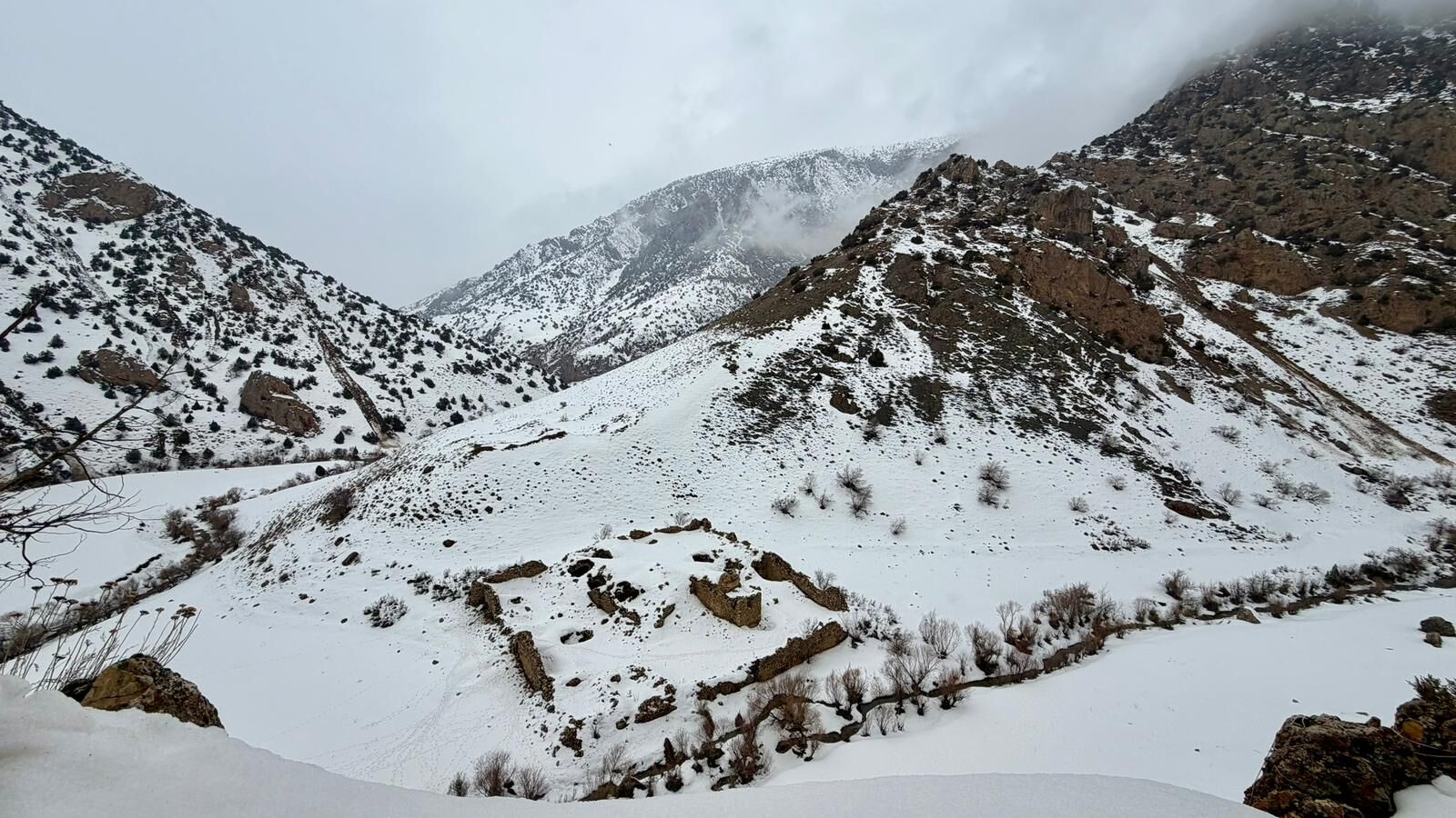 Vadi̇doğagenel (2)