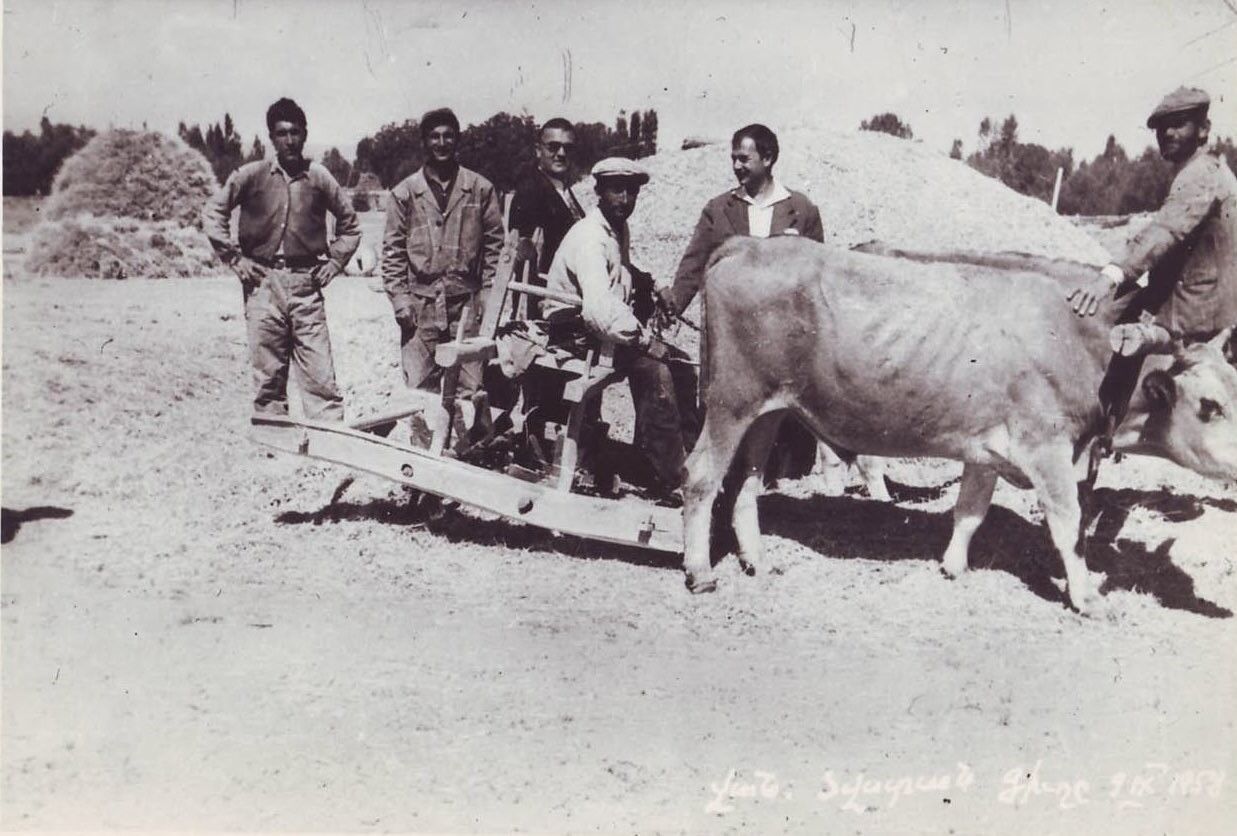 Vaneskı (3)