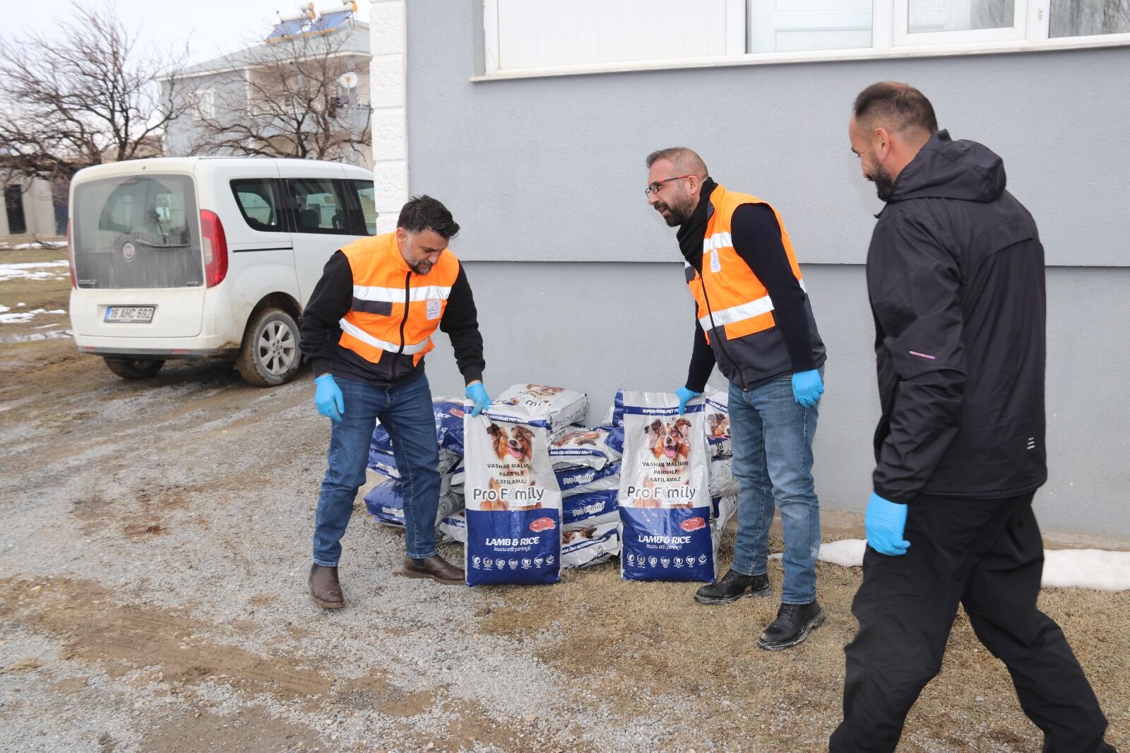 Edremit Belediyesi Sokak Hayvanlarını Sahiplendirmeye Başladı (2)