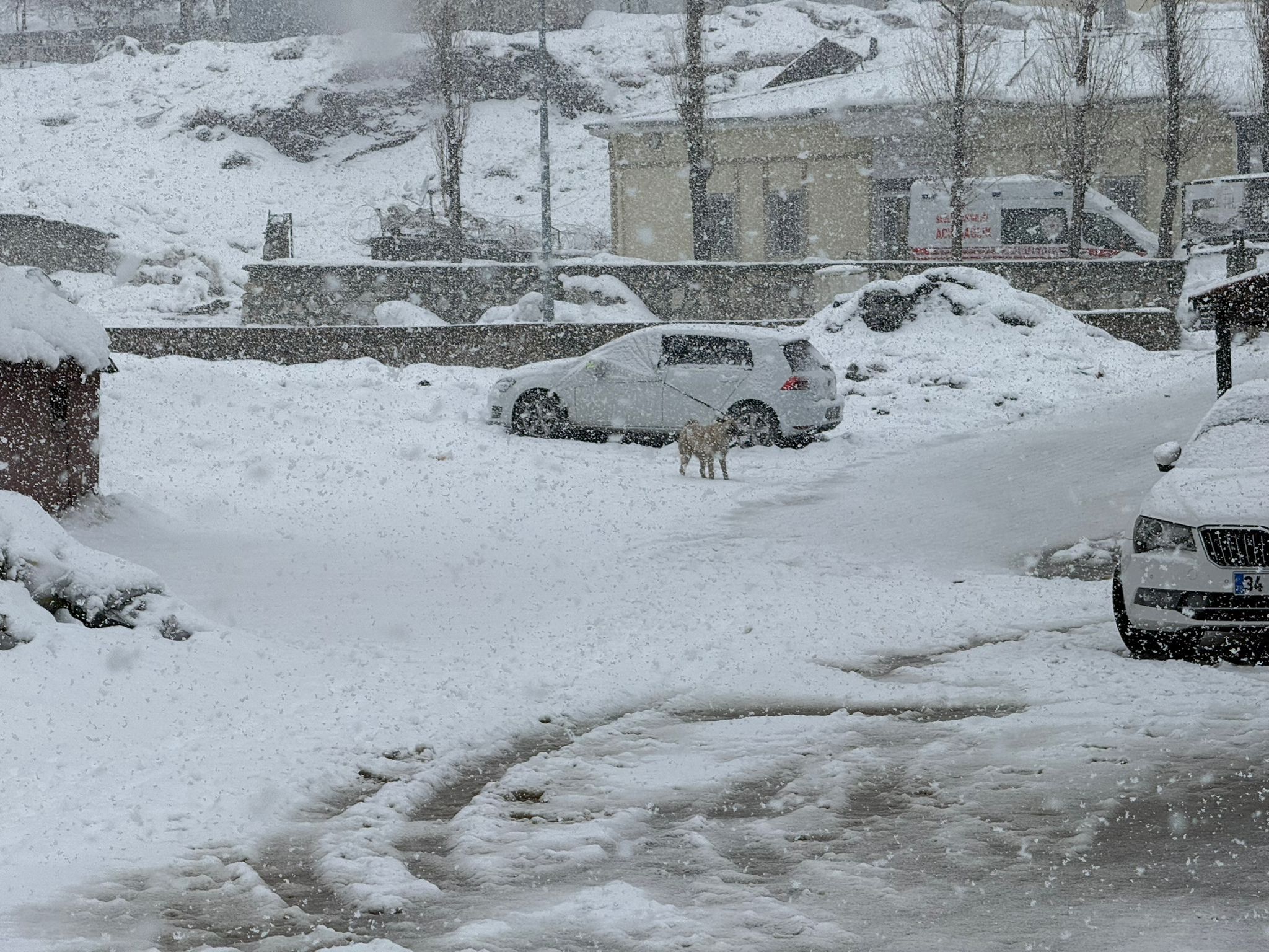 Van Başkale Kar Aa (1)