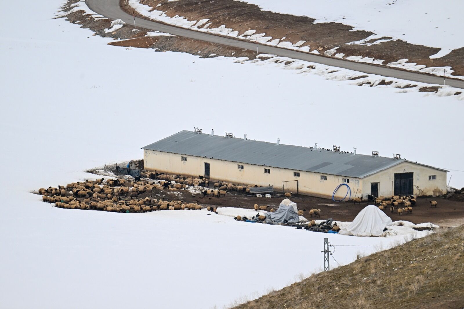 Van Kırsal (1)