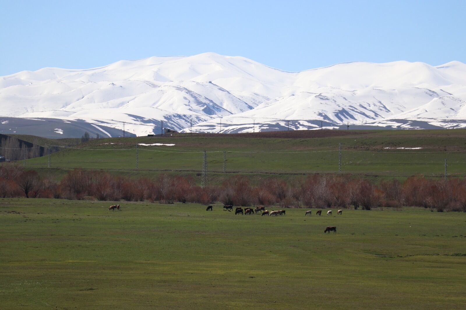 Ağri Kiş (3)