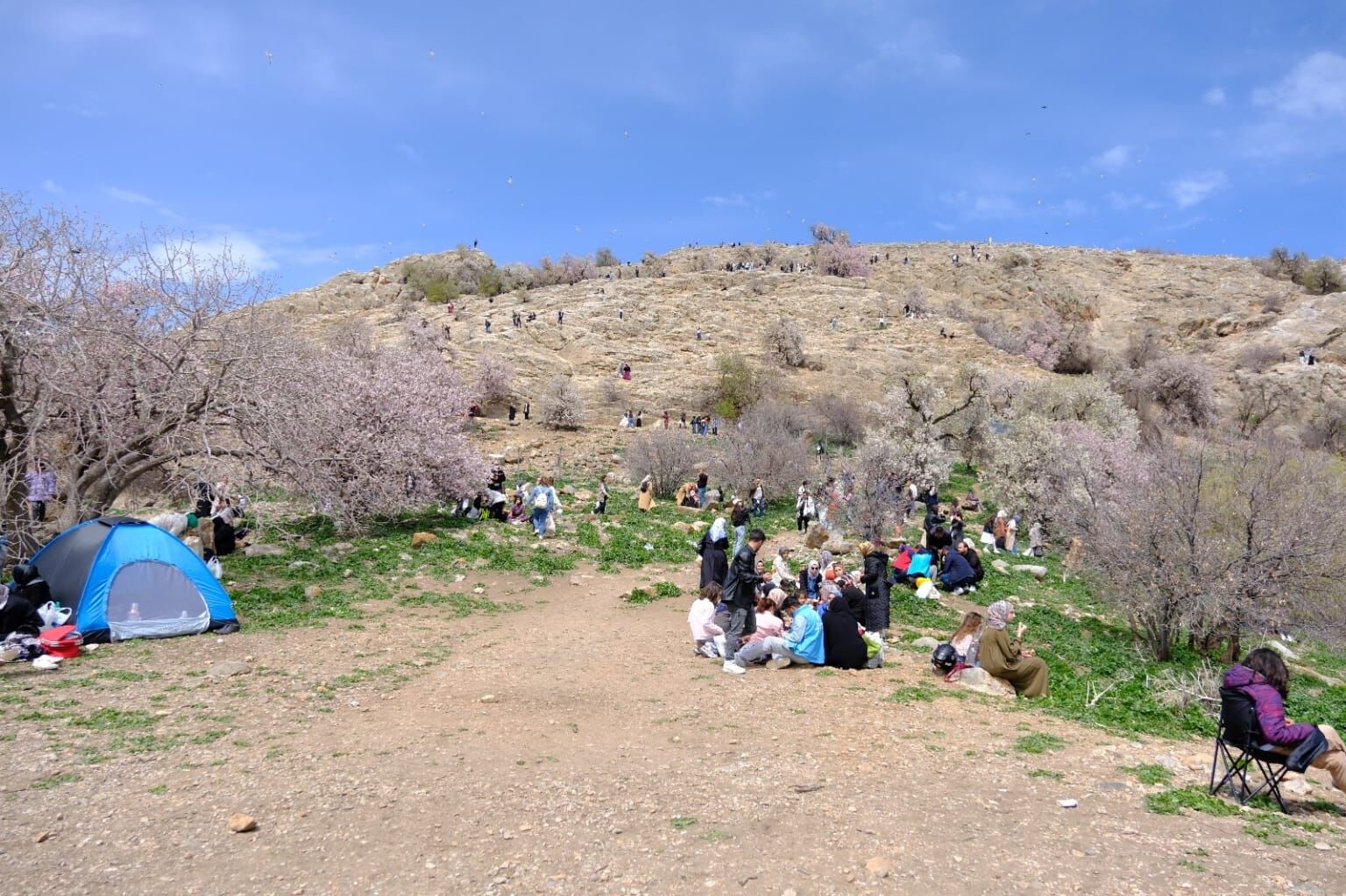 Badem Çiçeği Festivali (2)