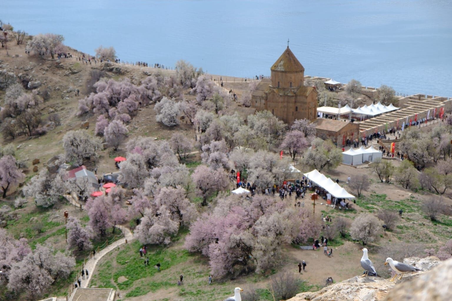 Badem Çiçeği Festivali (3)