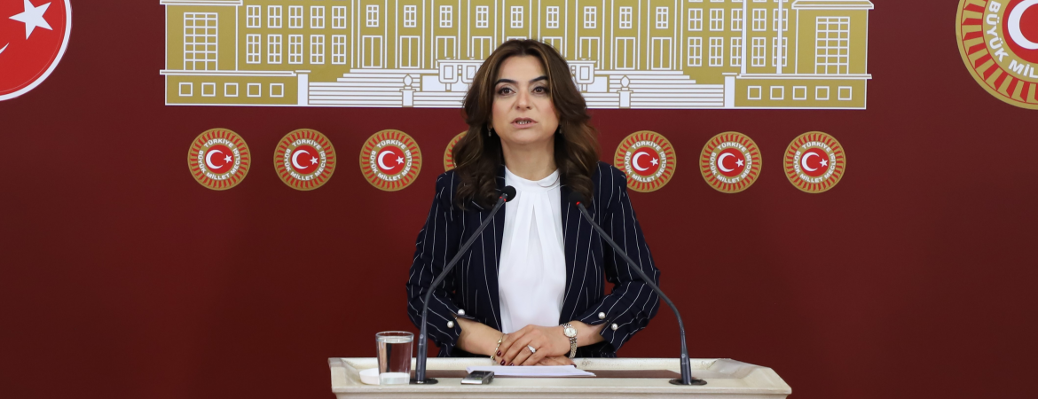 Dem Parti Grup Başkanvekili Gülistan Kılıç Koçyiğit 20 Nisan