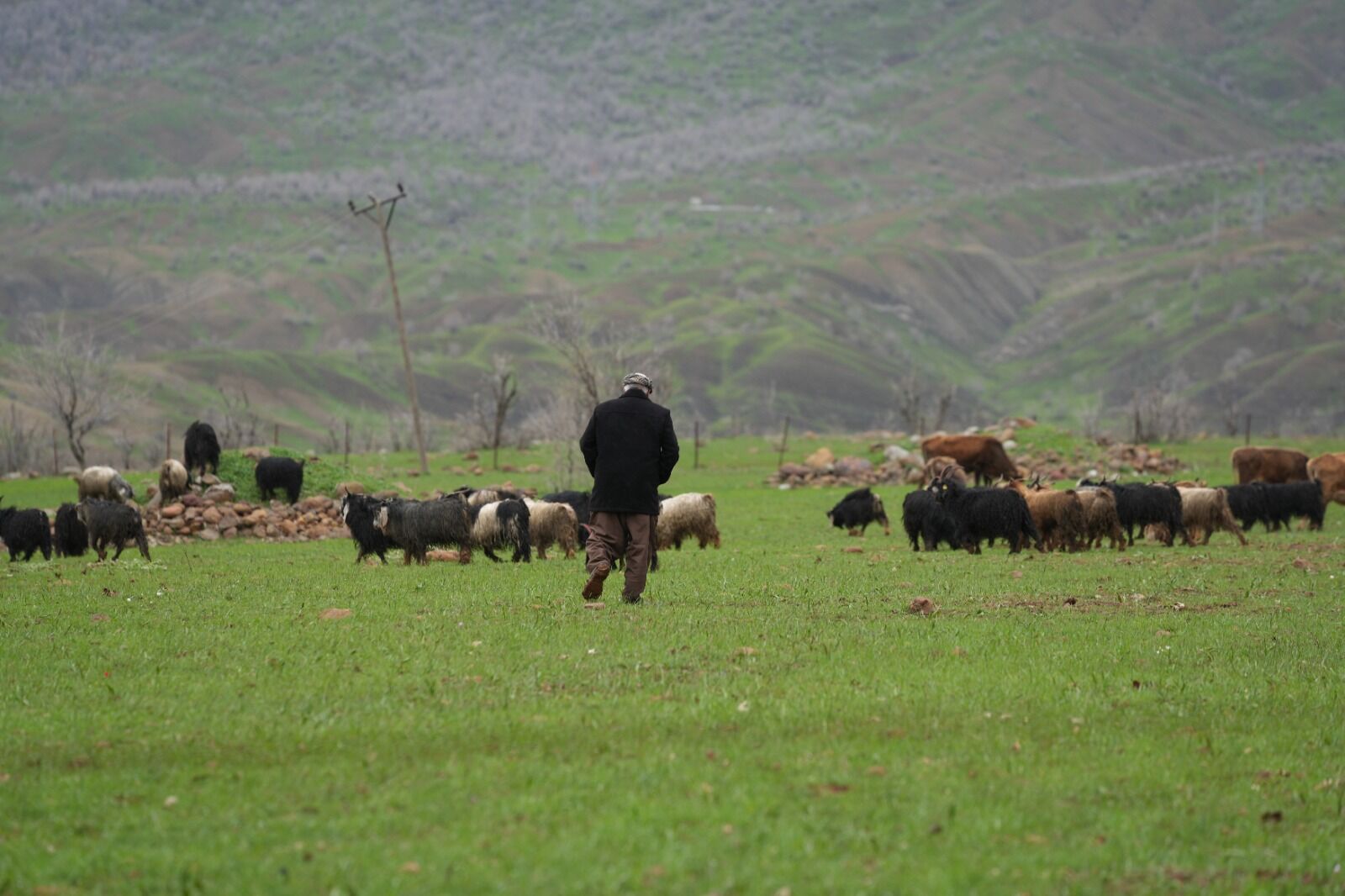 Hakkari’de Aynı Anda Kış Ve Bahar Yükseklerde Kar, Derecik’te Çiçekler Açtı (2)