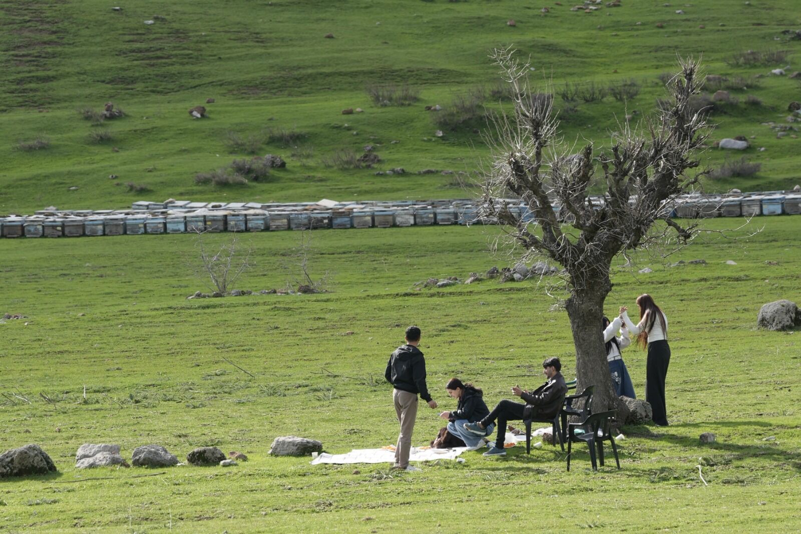 Hakkari’de Aynı Anda Kış Ve Bahar Yükseklerde Kar, Derecik’te Çiçekler Açtı (8)