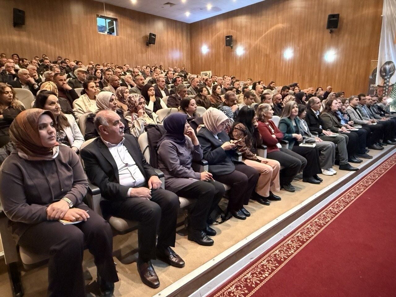 Mahmutdinadr2