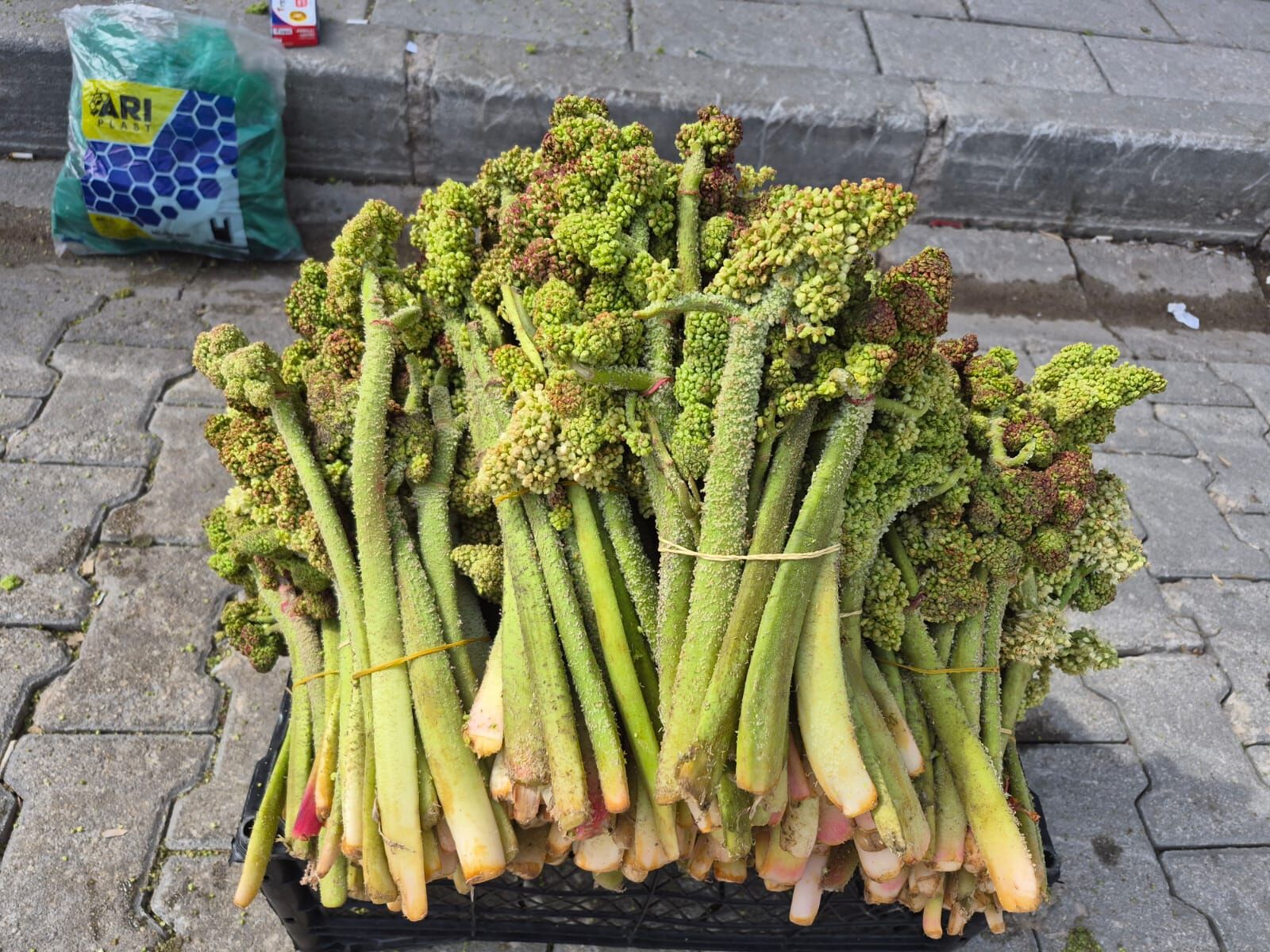 Van Işkın (2)