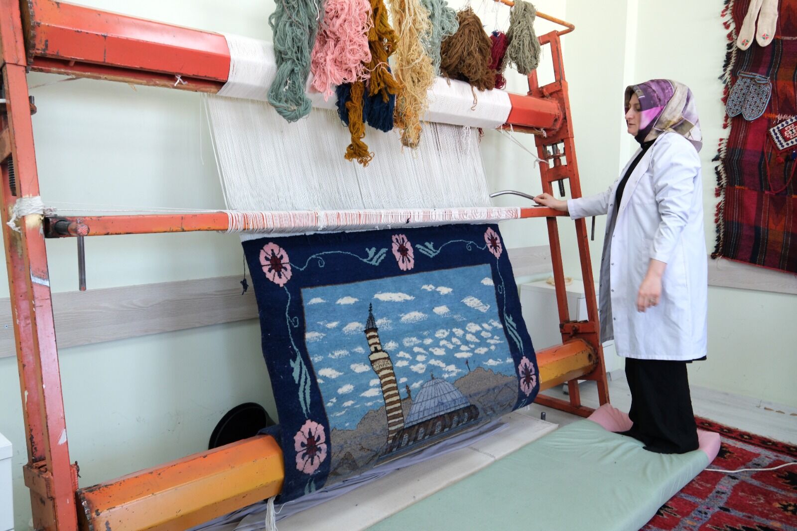 Van Olgunlaşma Enstitüsü (3)