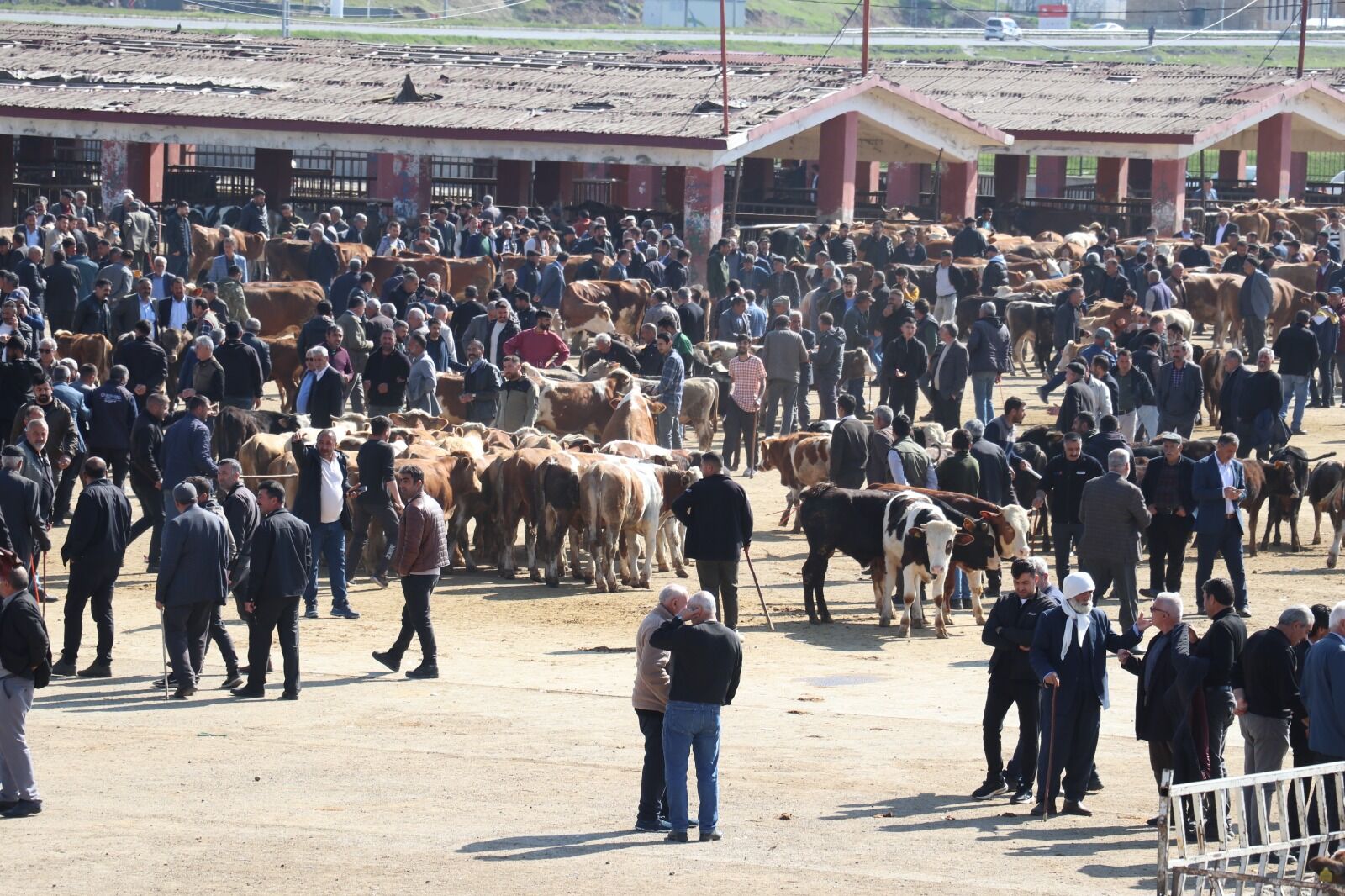Ağrı Hayvan Pazar Kurbanlık Aa (3)
