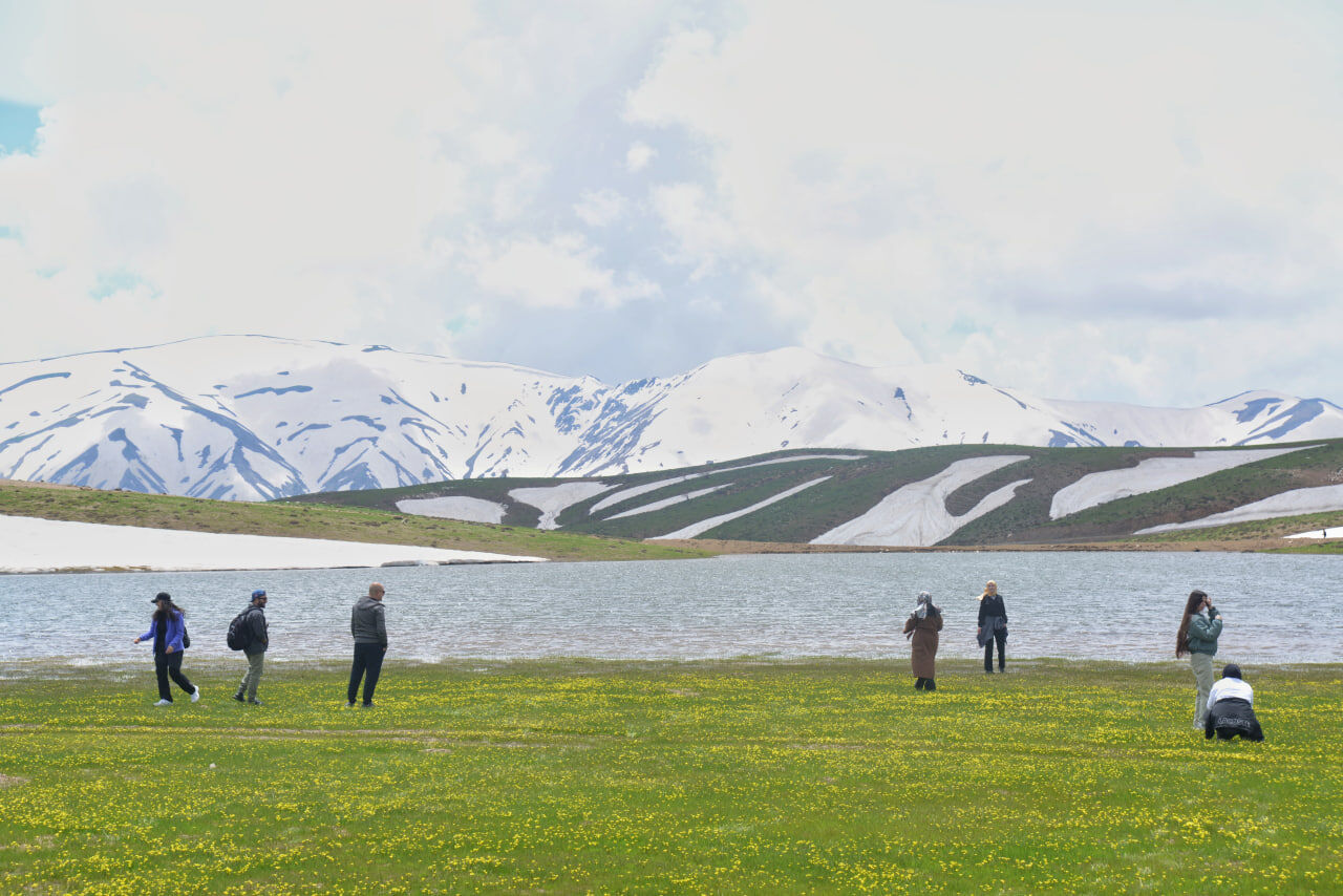 Ardahan (4)-1