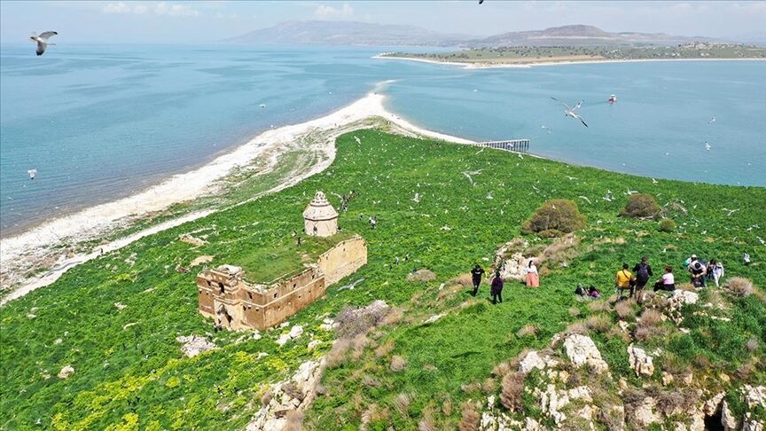 Çarpanak Adası-1