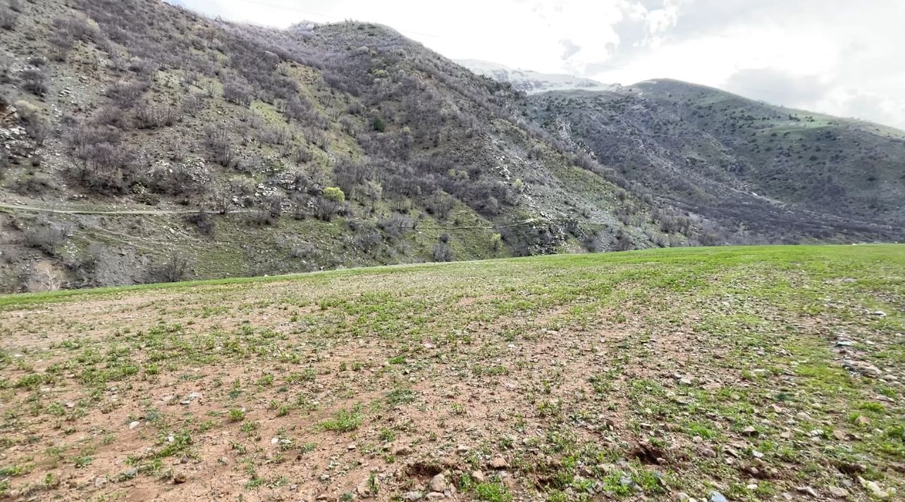 Çatak’ta Çöp Alanı Kadın Yaşam Alanına Dönüştürüldü (2)