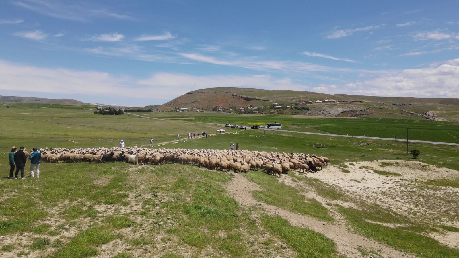 Ipekyolukervanı (3)