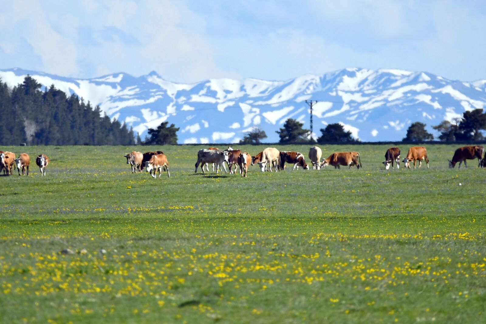 Kars Kış Görüntüleri