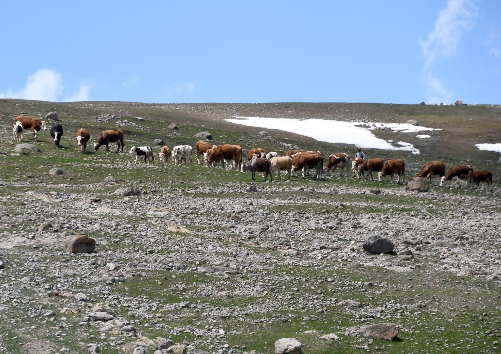 Kars Yayla2