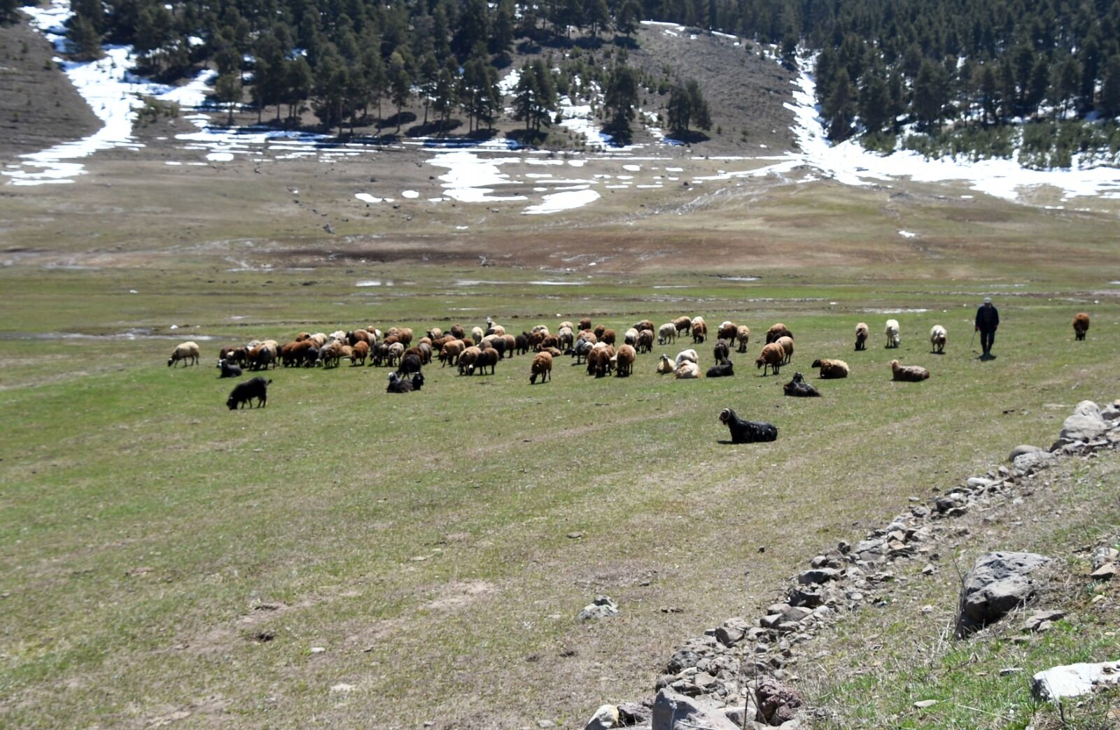 Kars Yayla6