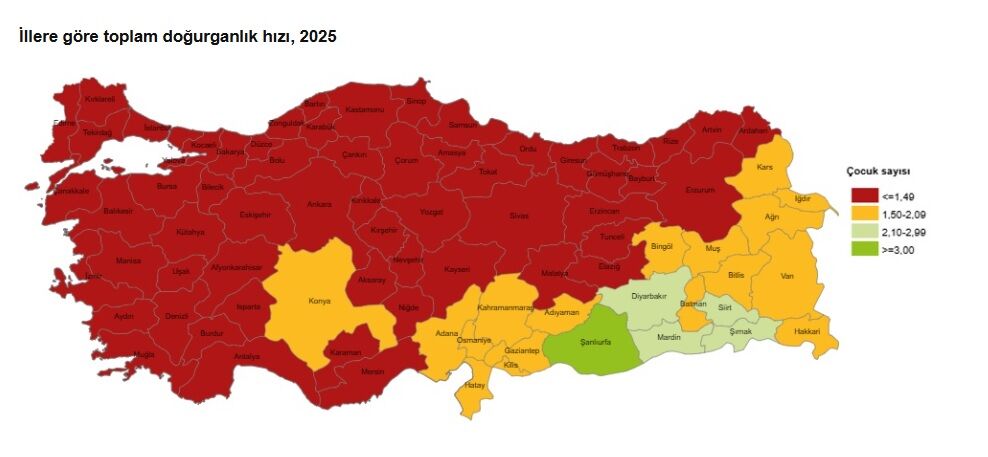 Türkiye İstatistik Kurumu (Tüi̇k) Tarafından Açıklanan 2025 Doğum Istatistikleri (2)