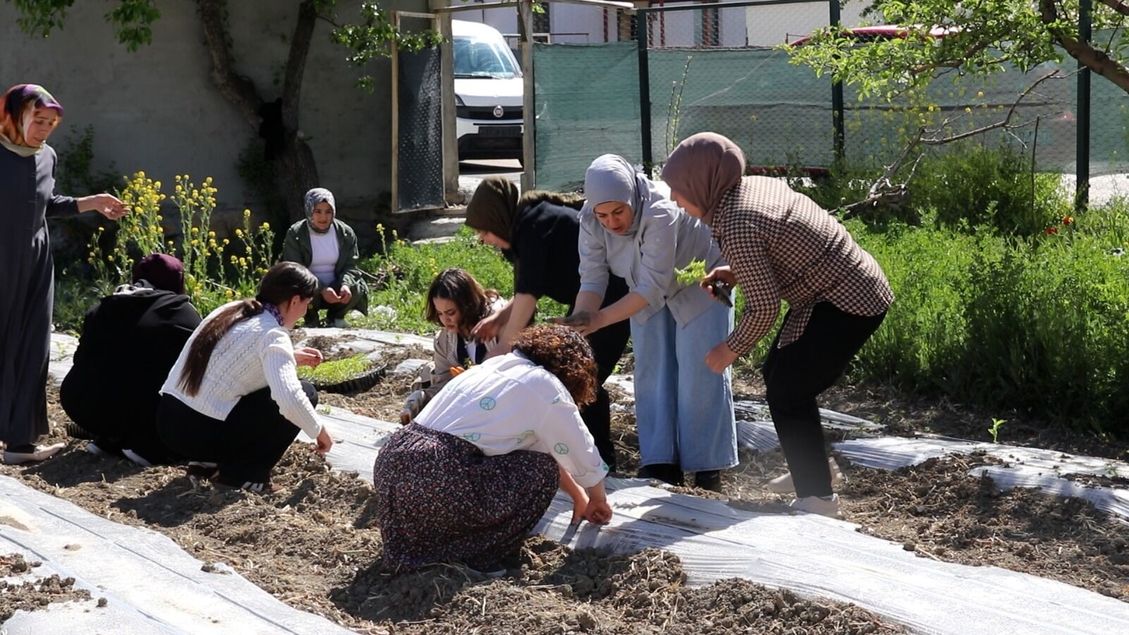 Van Edremit Belediyesi Kadın Politikaları Müdürlüğü Ve Kadın Meclis Üyeleri Tarafından Projelendirilen Kadın Komün Bostanları (5)-1