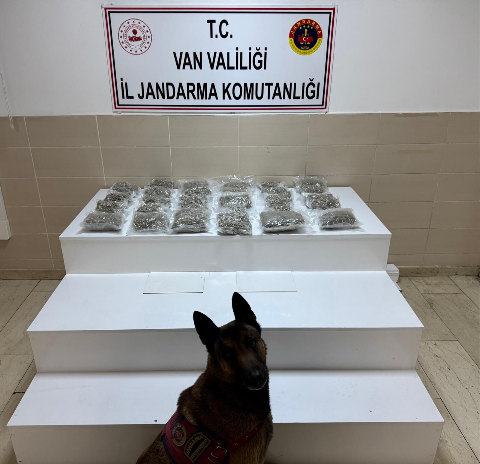 Van Uyuşturucu Operasyon (3)