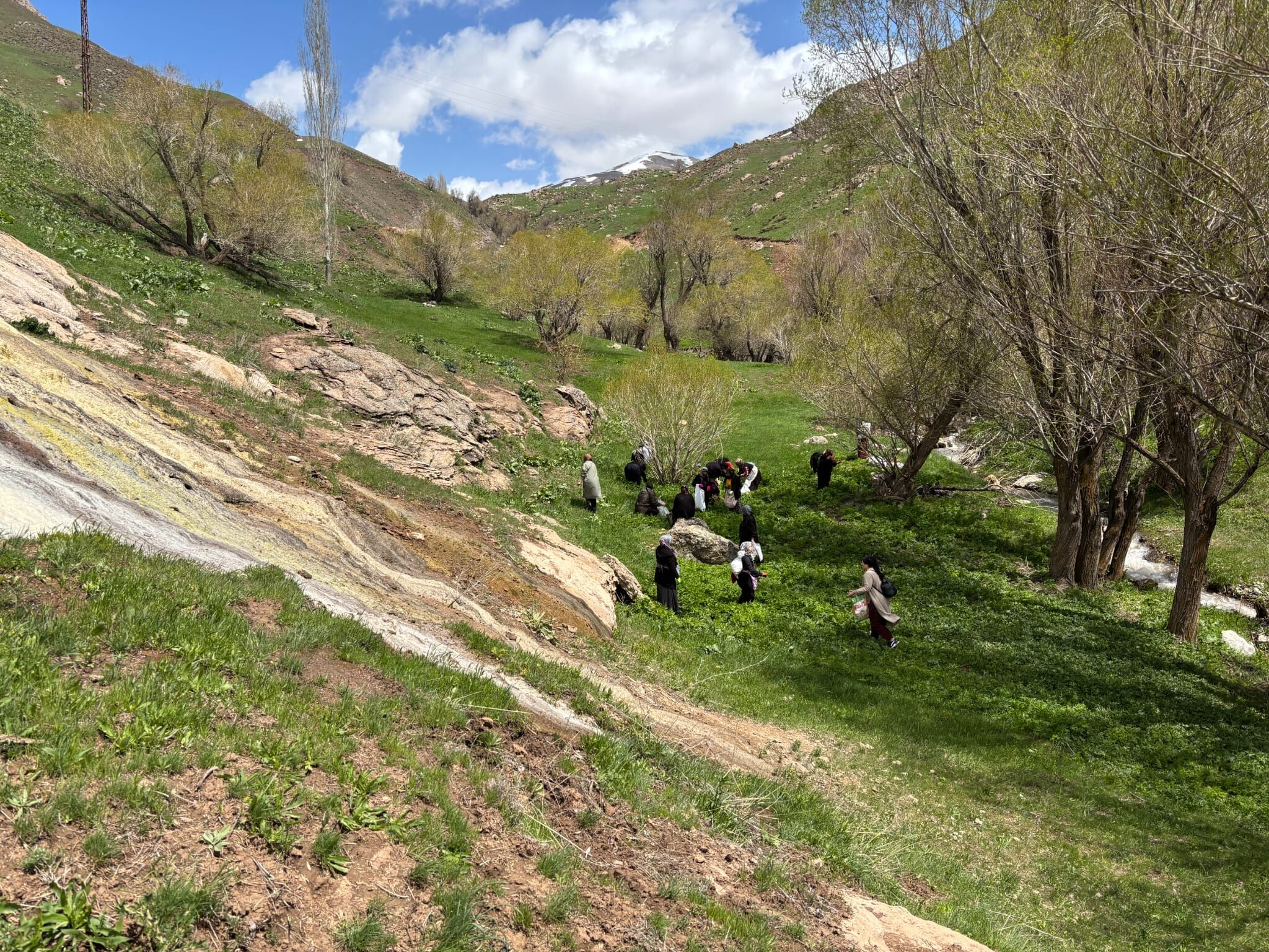 Van’da Kadınlar Geleneksel Pancar Toplama Etkinliğinde Bir Arada (6)