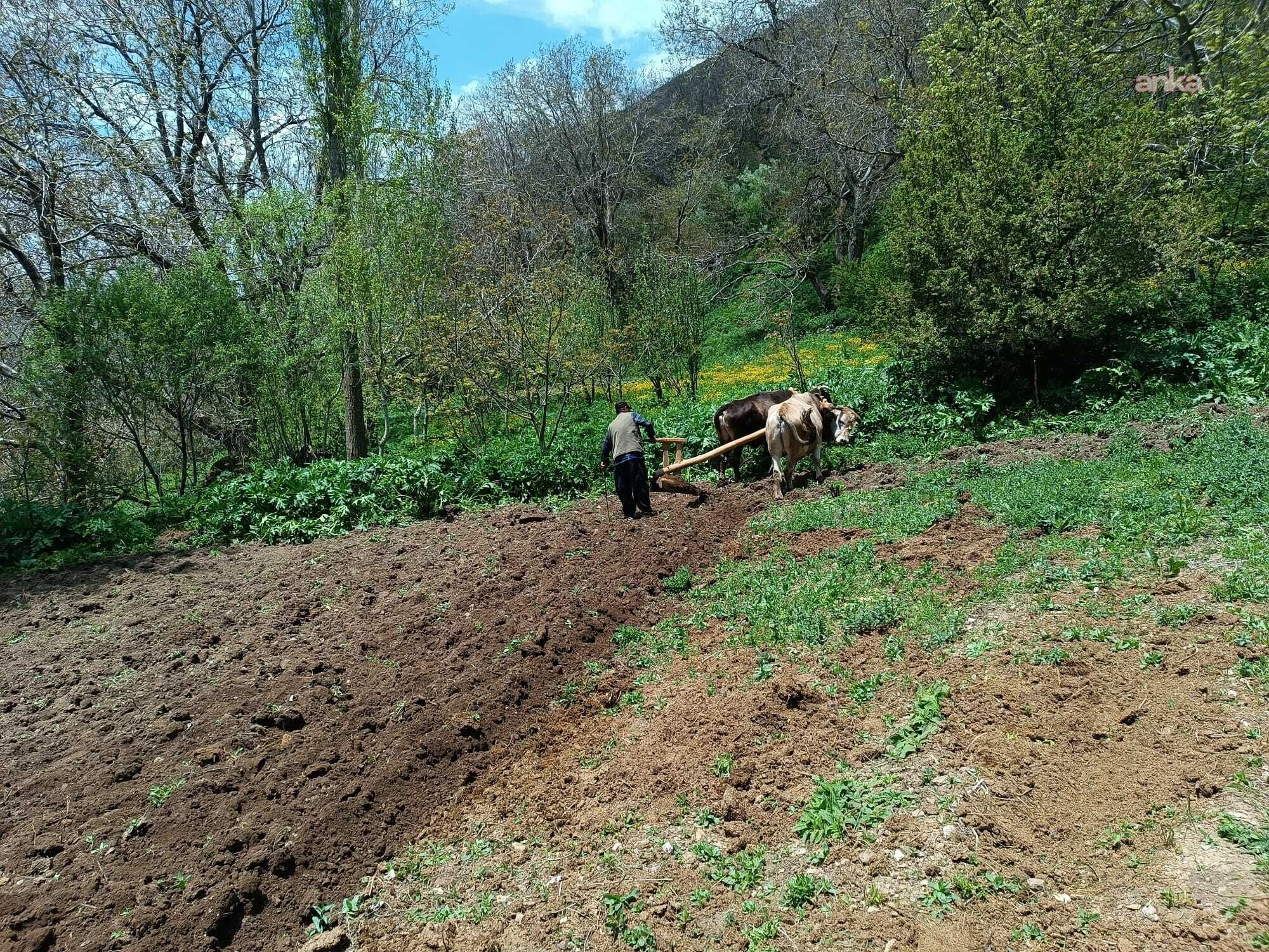 Bahçesaray (2)-1
