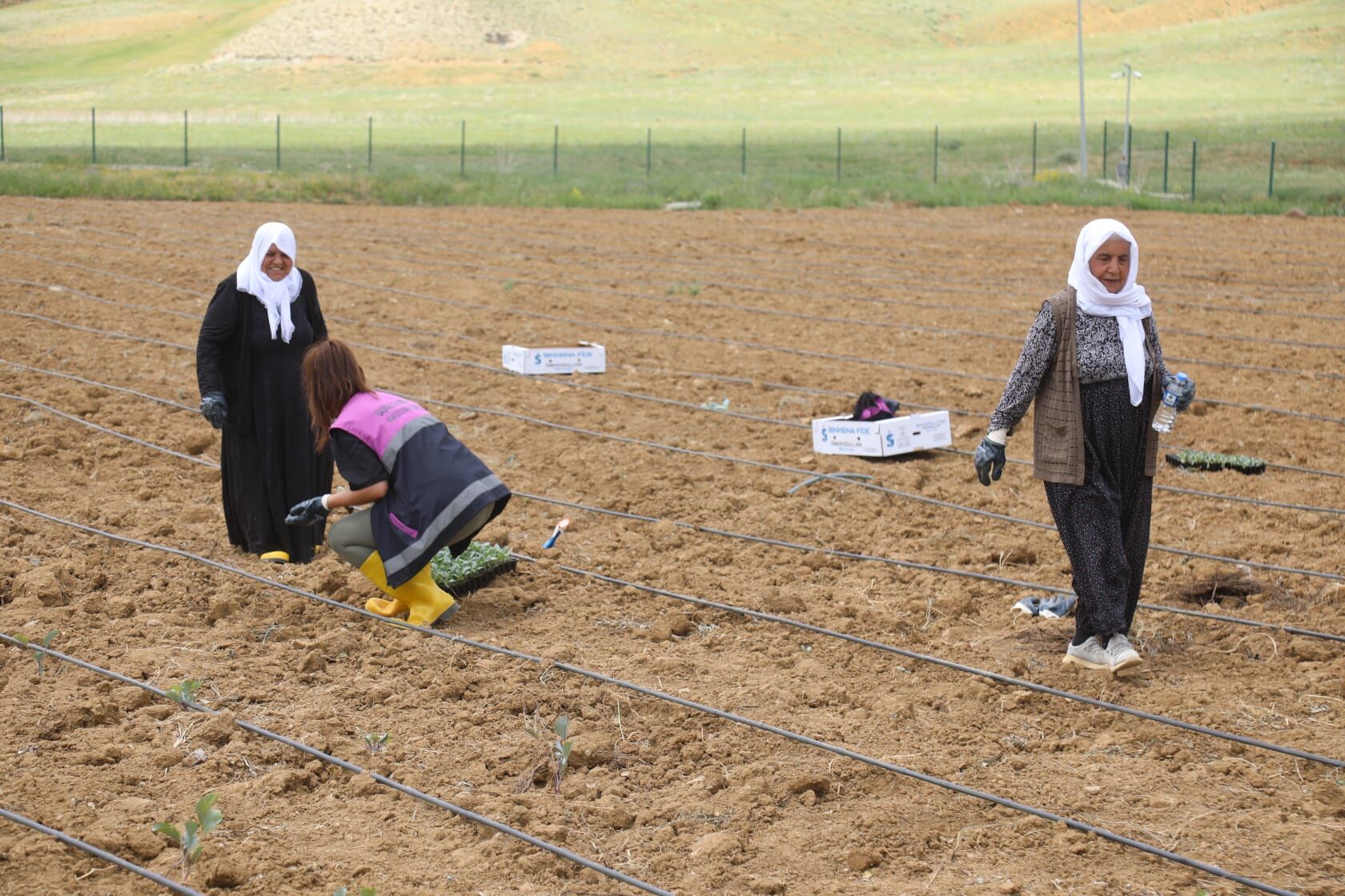 Başkale (5)-3