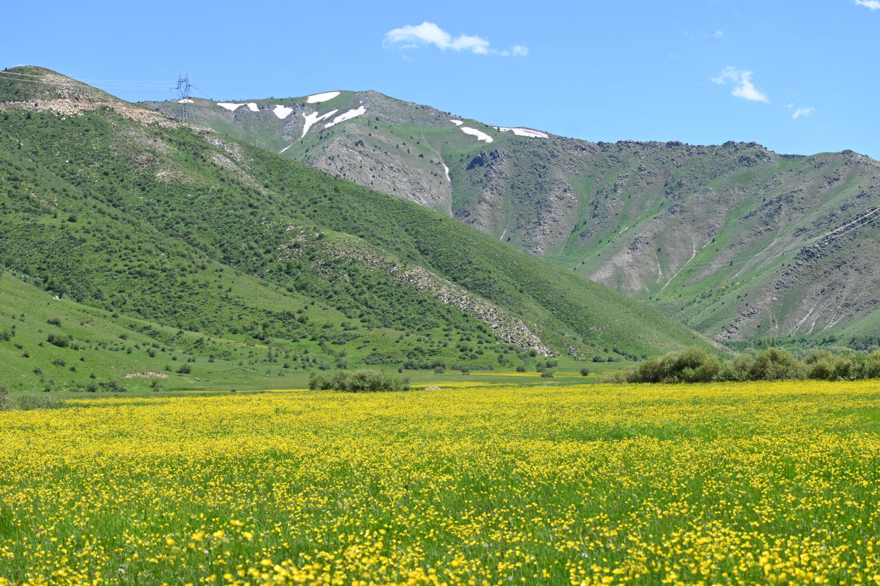 Bitlis (2)-3