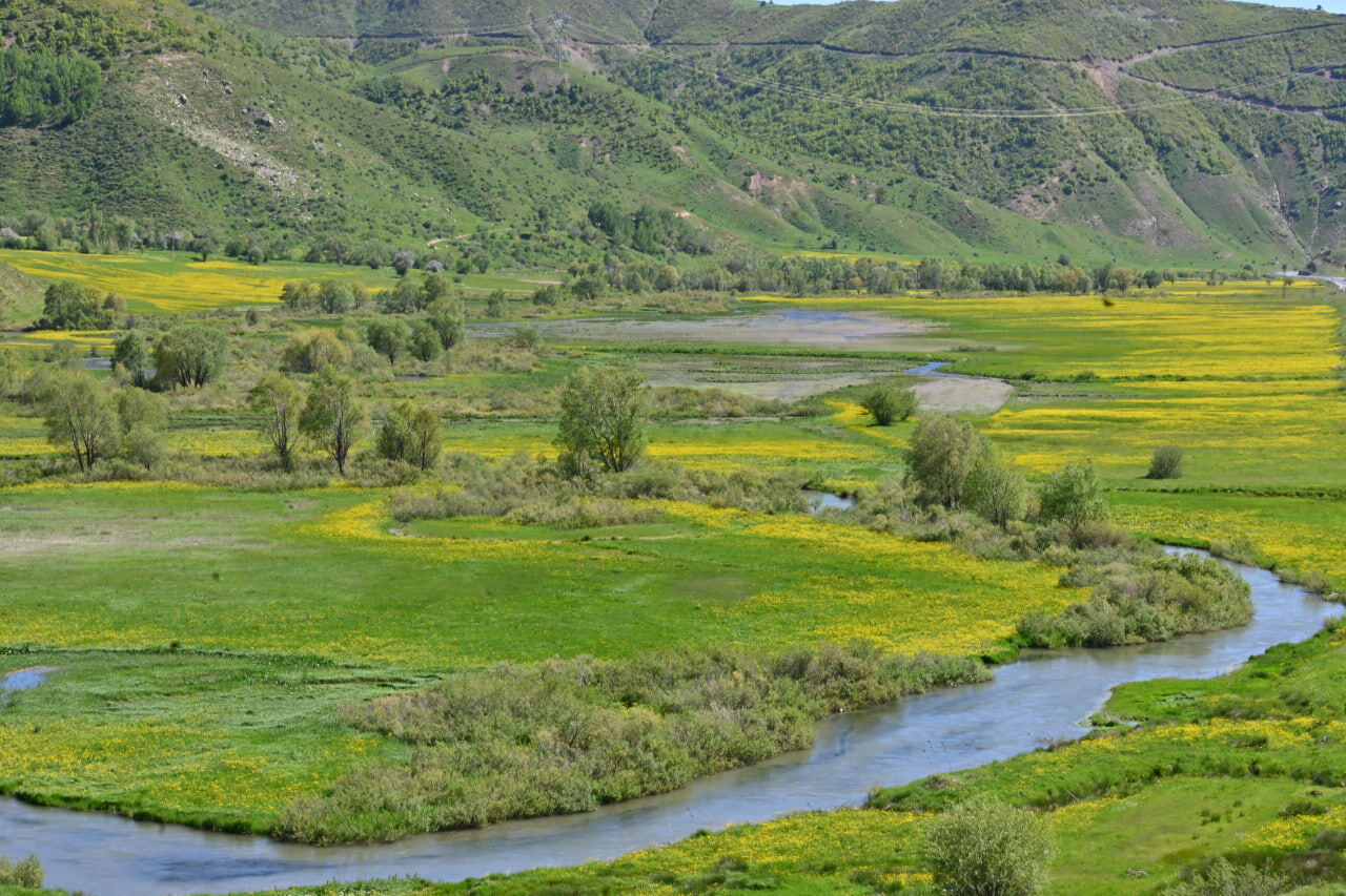 Bitlis (5)
