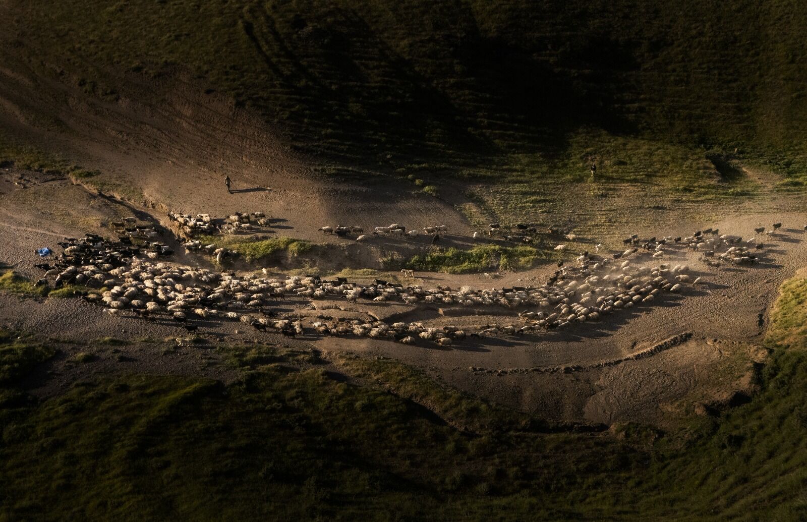 Bitlis Tatvan Ilçesine Bağlı Kıyıdüzü Köyü Besi Hayvancılık Aa (3)