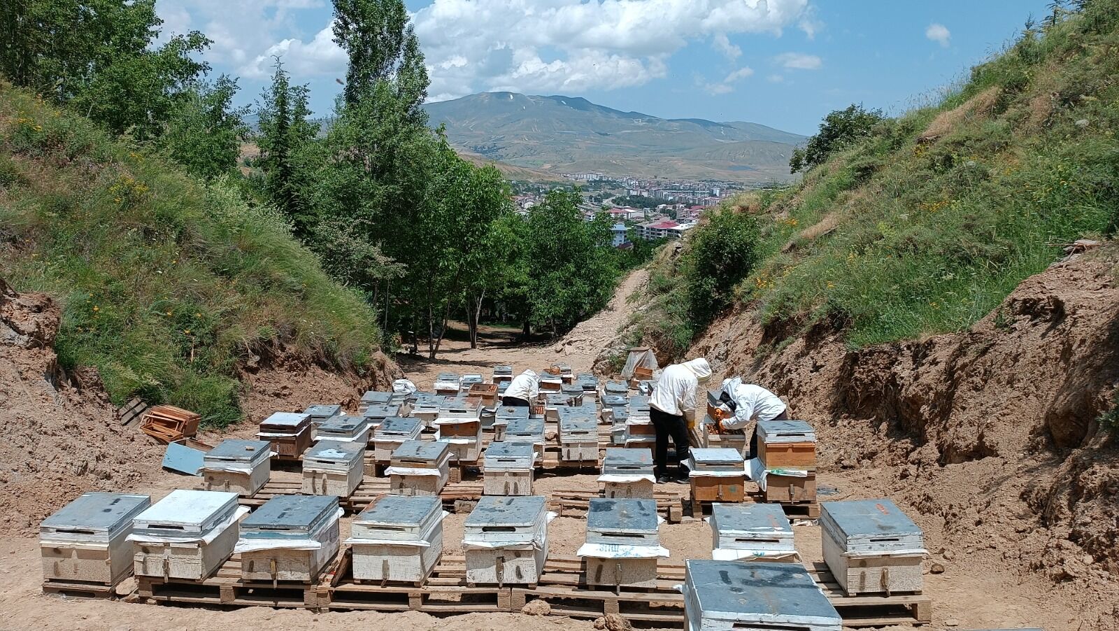 Bitlis'in Tatvan Ilçesinde Yaşayan Bedriye Bulut Ile Yengesi Gülay Olcaş, Başladıkları Arıcılık Serüvenini Büyüterek Bölgede Kadın Girişimciliğine Örnek Oluyor (2)