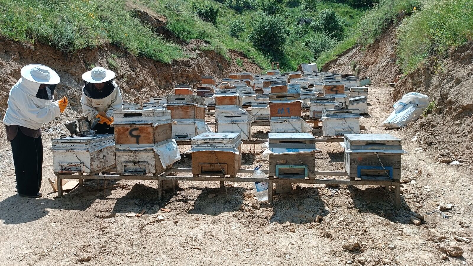 Bitlis'in Tatvan Ilçesinde Yaşayan Bedriye Bulut Ile Yengesi Gülay Olcaş, Başladıkları Arıcılık Serüvenini Büyüterek Bölgede Kadın Girişimciliğine Örnek Oluyor (5)