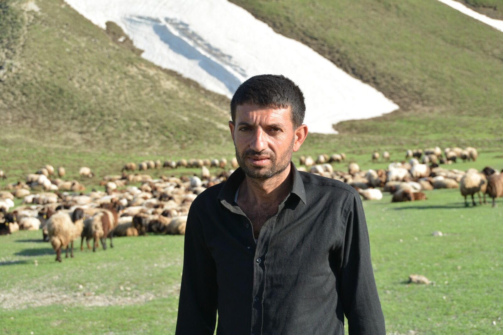 Bitlis'te Yeşeren Yaylalar, Havanın Isınmasıyla Başka Illerden Gelen Göçerleri Ağırlamaya Başladı (3)
