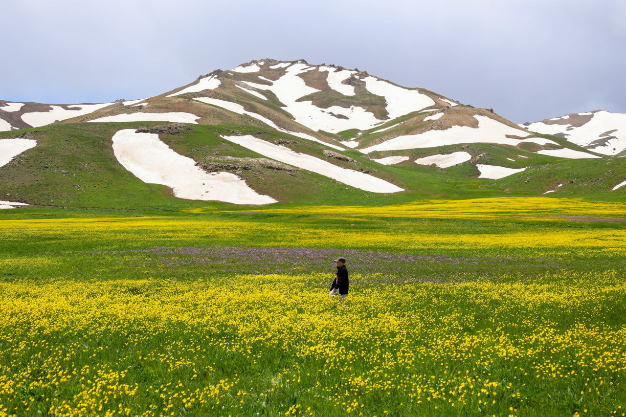 Çayir (1)