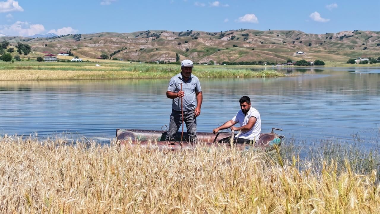 Diyarbakır Ile Batman Arasında Yer Alan Batman Baraj Gölü Havzasında Buğday Ve Mercimek Ekilen Araziler, Mevsimsel Yağışların Etkisiyle Su Altında Kaldı. Çiftçiler Tarlalarını Sandalla Kontrol Etmek Zorunda Kalıyor (3)