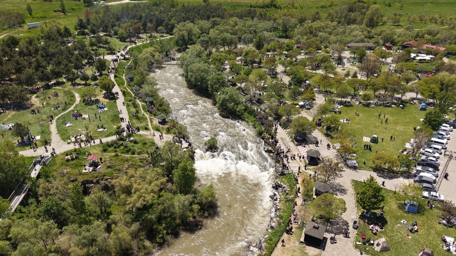 Erciş İnci Kefali Tabiat Parkı (3)
