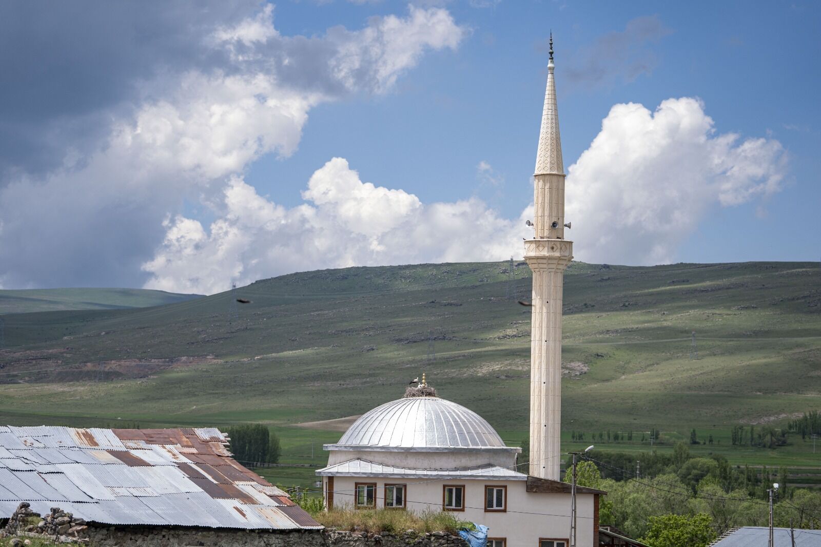 Erzurum’da Göç Döneminde Kente Gelen Leylekler, Aziziye Ve Yakutiye Ilçelerindeki Camilerin Kubbelerini Yuva Olarak Seçiyor; Bazı Camilerde Aynı Anda Birden Fazla Leylek Ailesi Yaz Boyunca Konaklıyor (2)