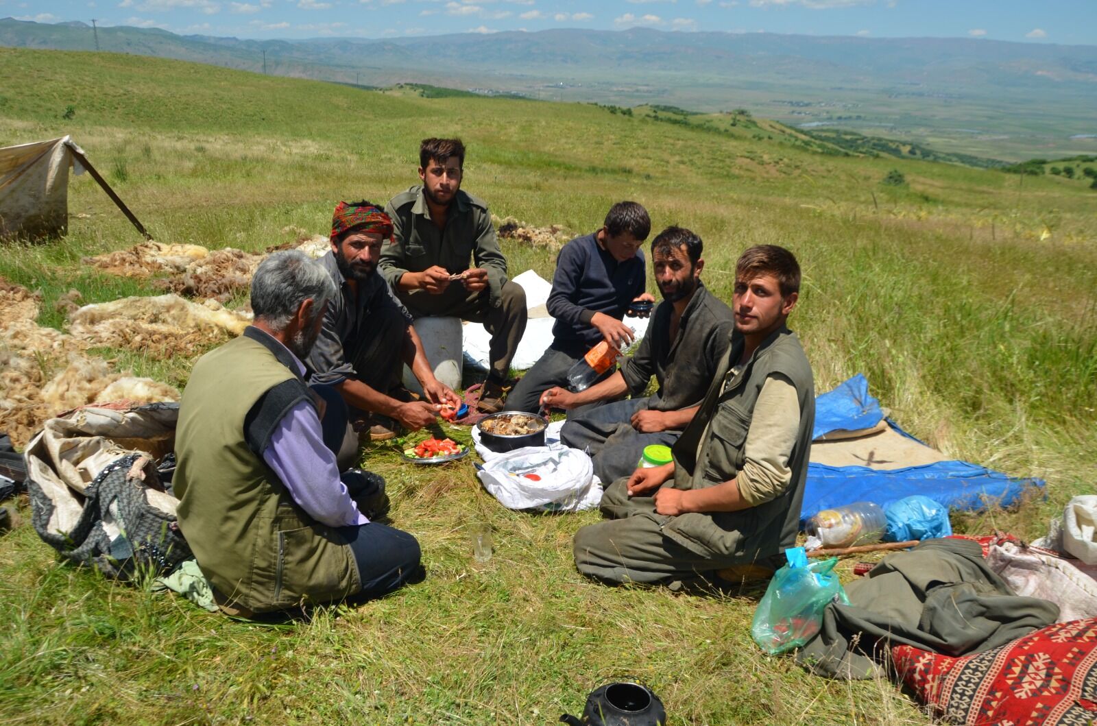 Göçerlerin Yayla Mesaisi Başladı (2) Hayvancılık