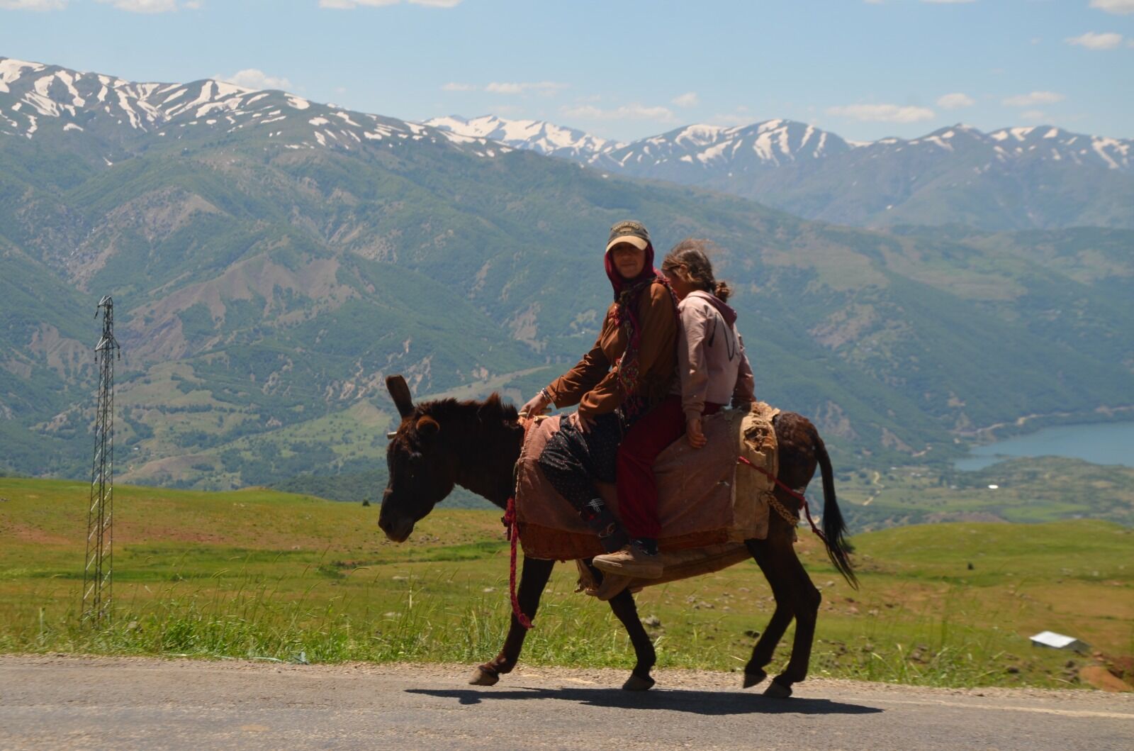 Göçerlerin Yayla Mesaisi Başladı (4) Hayvancılık