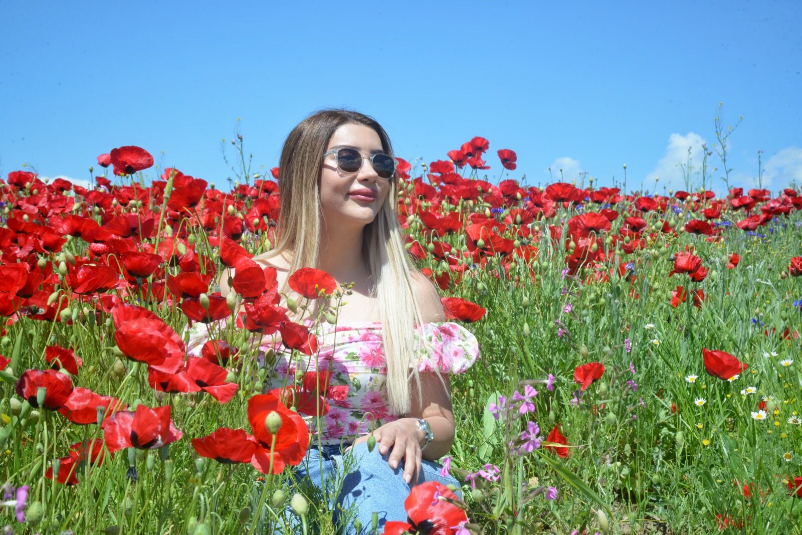 Muş Taşoluk Köyü (4)