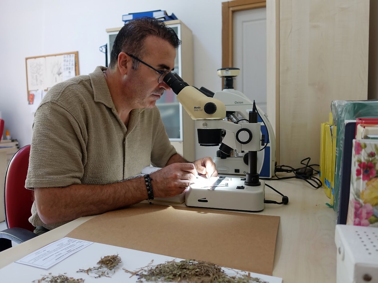 Tatvan’daki İncekaya Kalderası’nda Keşfedilen Yeni Çan Çiçeği Türü, Ege Üniversitesi Ve Bitlis Eren Üniversitesi Araştırmacılarının Çalışmalarıyla “Campanula Porensis” Adıyla Bilim Literatürüne Kazandırıldı (5)