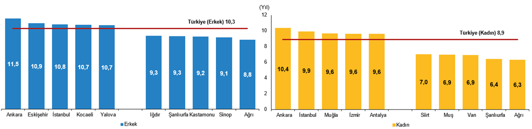 Tüik Eğitim