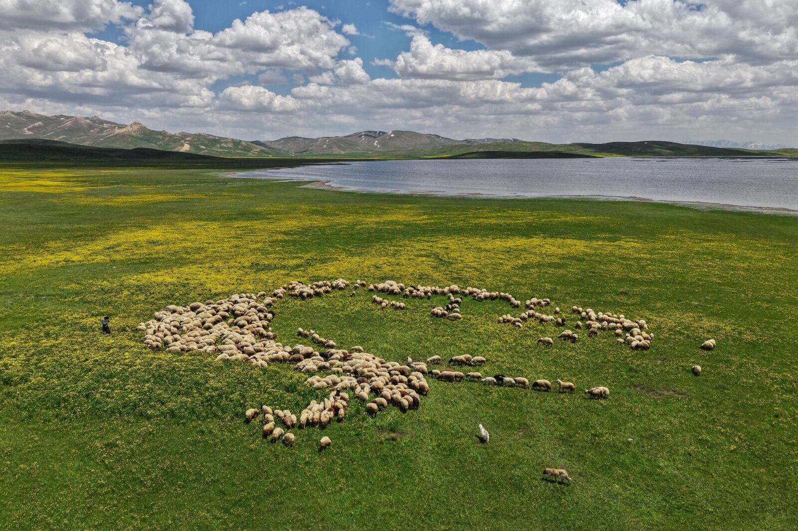 Van Gürpınar Keşiş Gölü (Turna) (8)