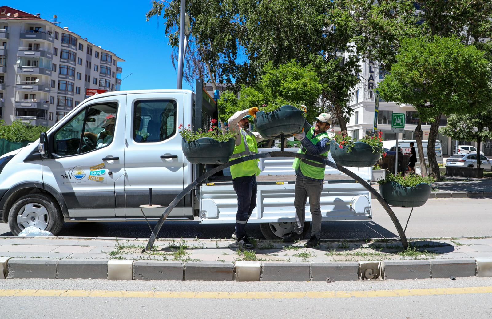 Van’ın Ana Caddeleri Sardunya Çiçekleriyle Donatıldı (1)