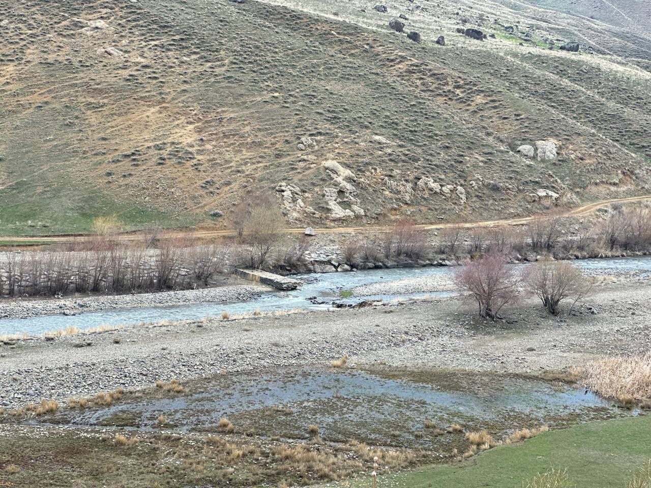 Zilanderesi (1)