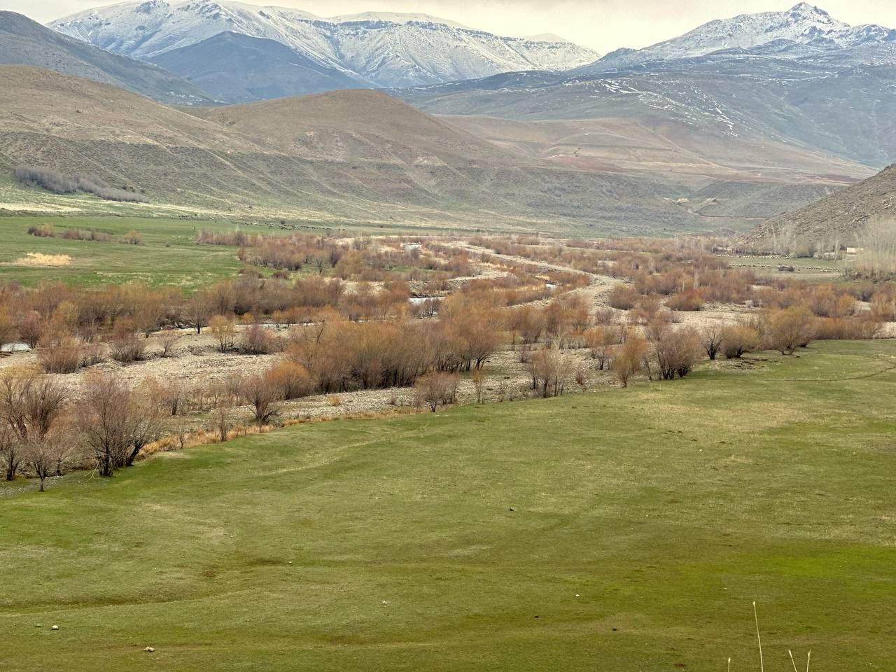 Zilanderesi (2)